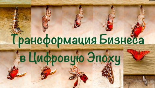 Трансформация Бизнеса в Цифровую Эпоху